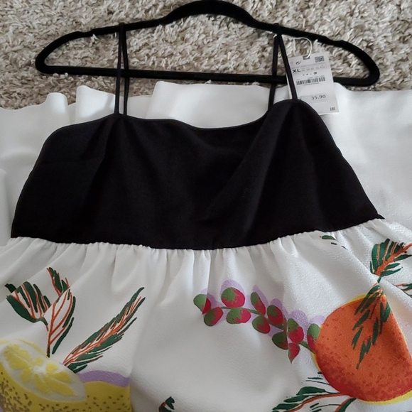 Zara Dresses Zara Fruit Dress Poshmark